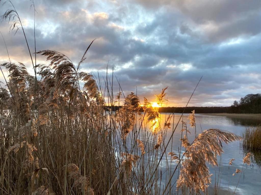 Ferienhaus Direkt Am See Uckermark Templin Bagian luar foto