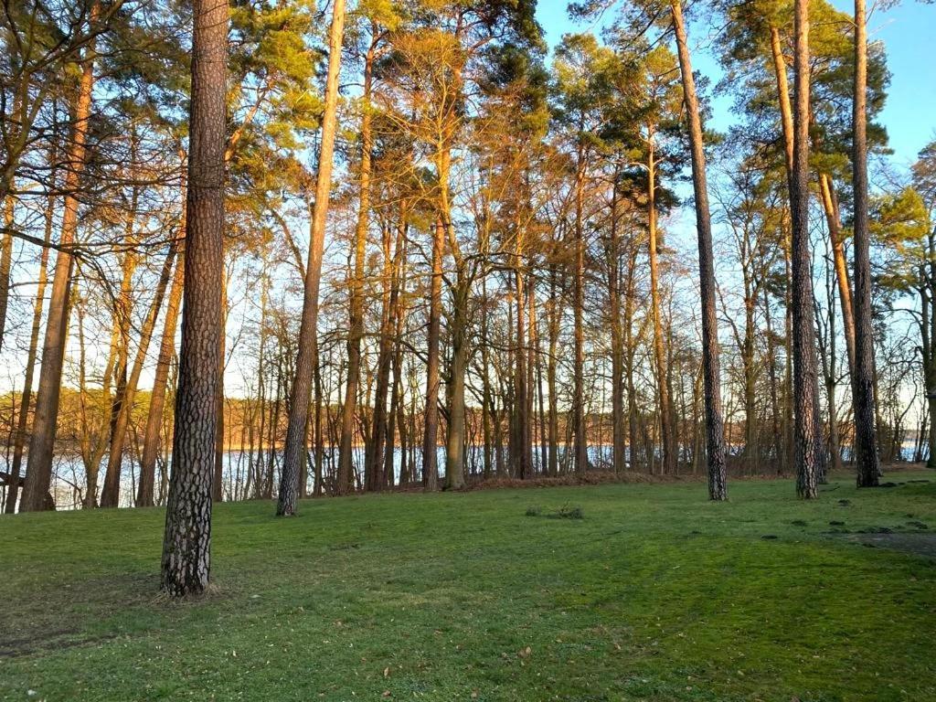 Ferienhaus Direkt Am See Uckermark Templin Bagian luar foto